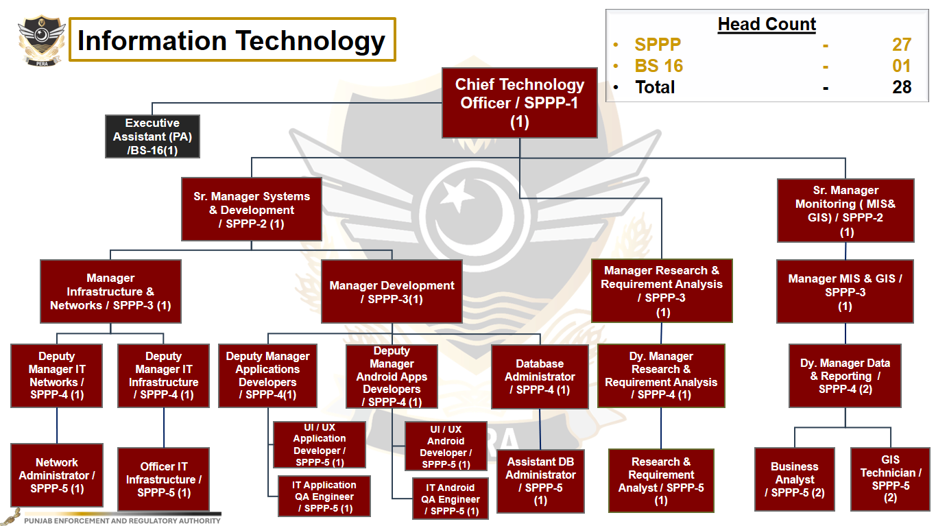 Information Technology organizational chart