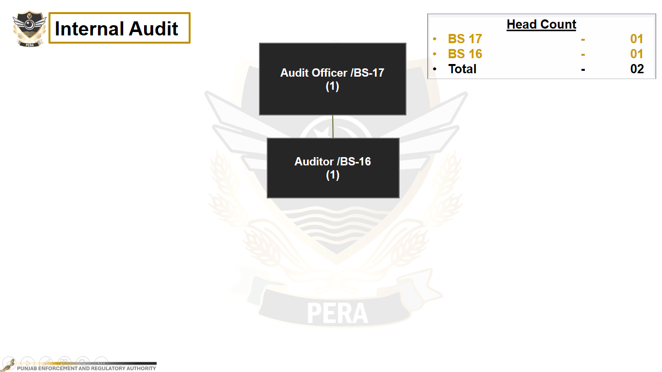 Internal Audit organizational chart