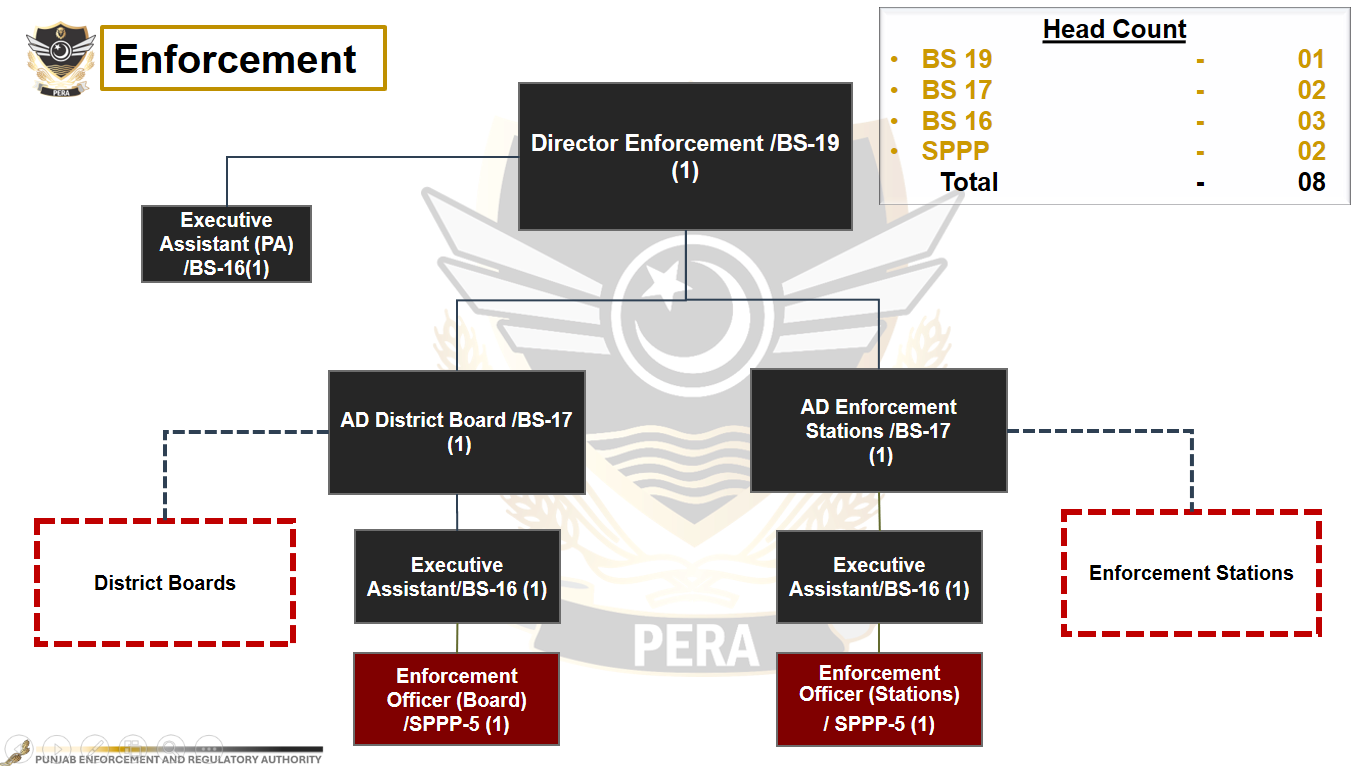 Enforcement organizational chart
