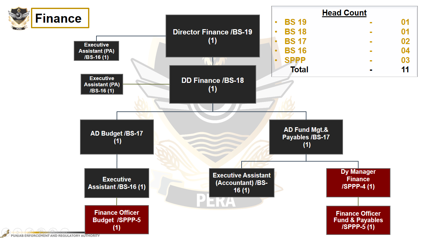 Finance organizational chart